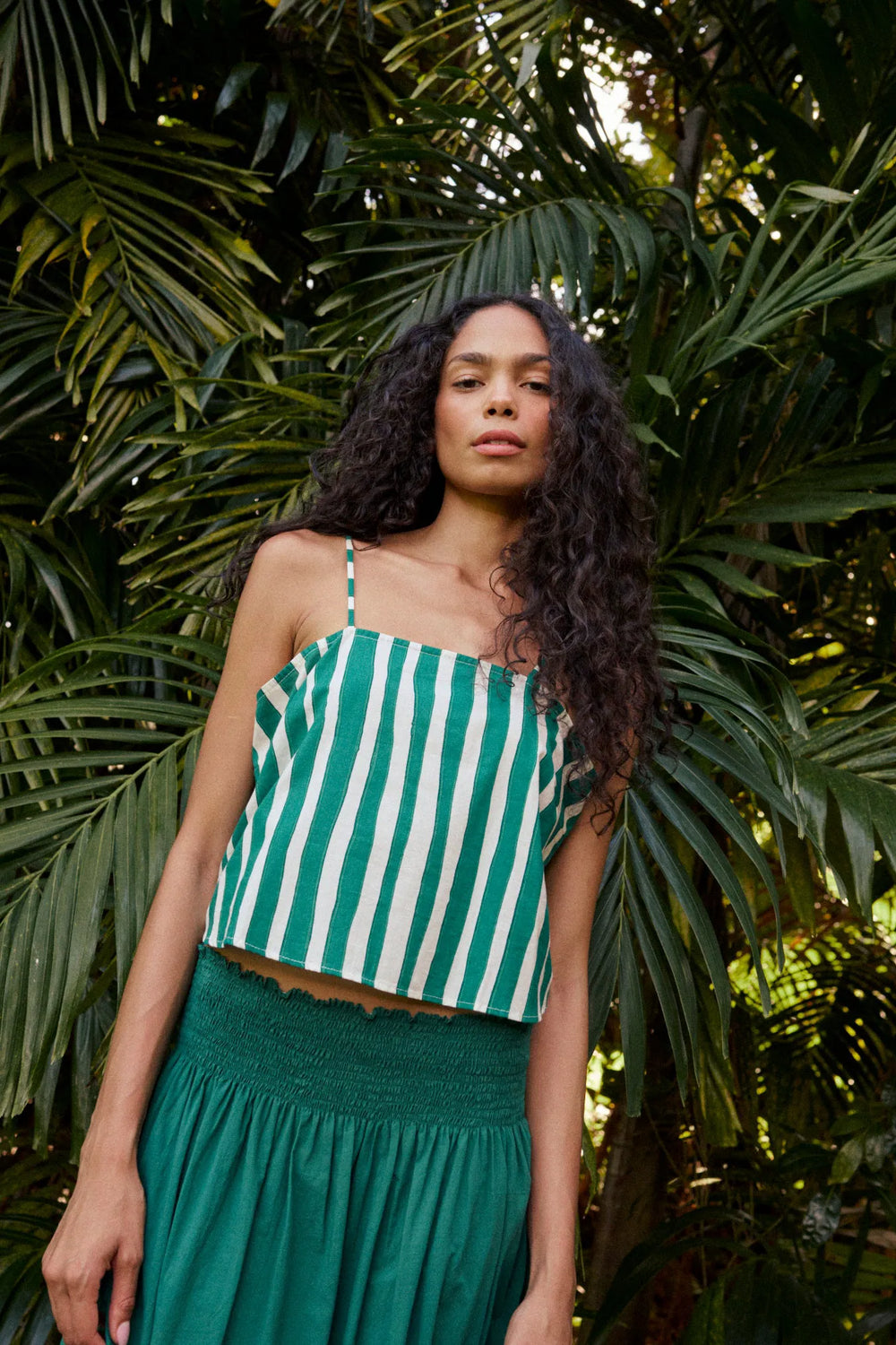 SOLID LAWN