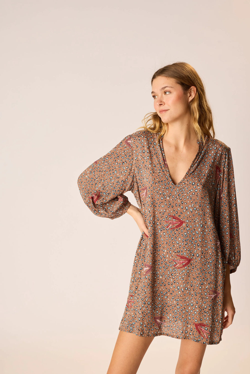 SWALLOW NUTMEG