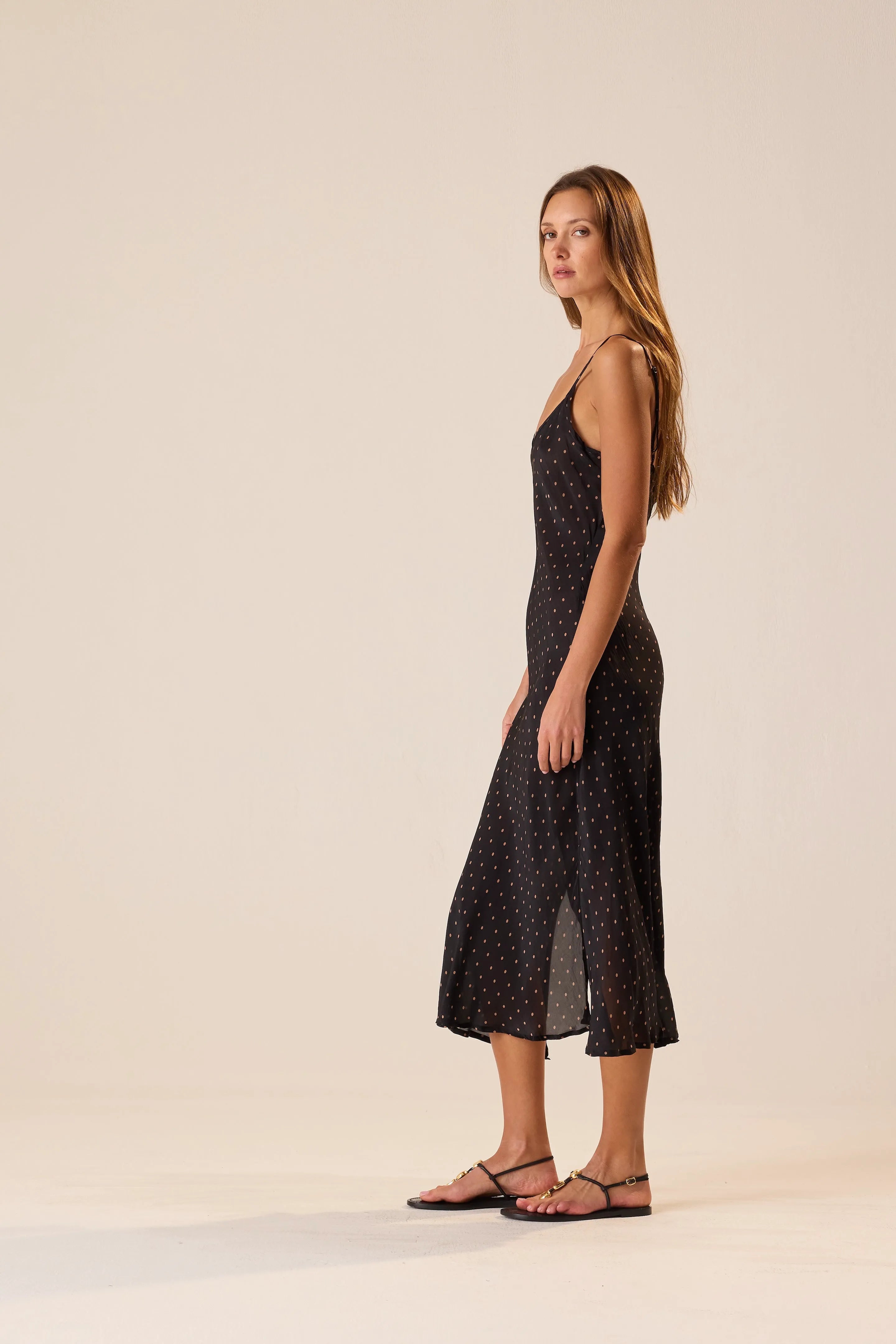PETITE POLKA DOT BLACK & TAN