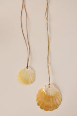 CLAM - MEDIUM