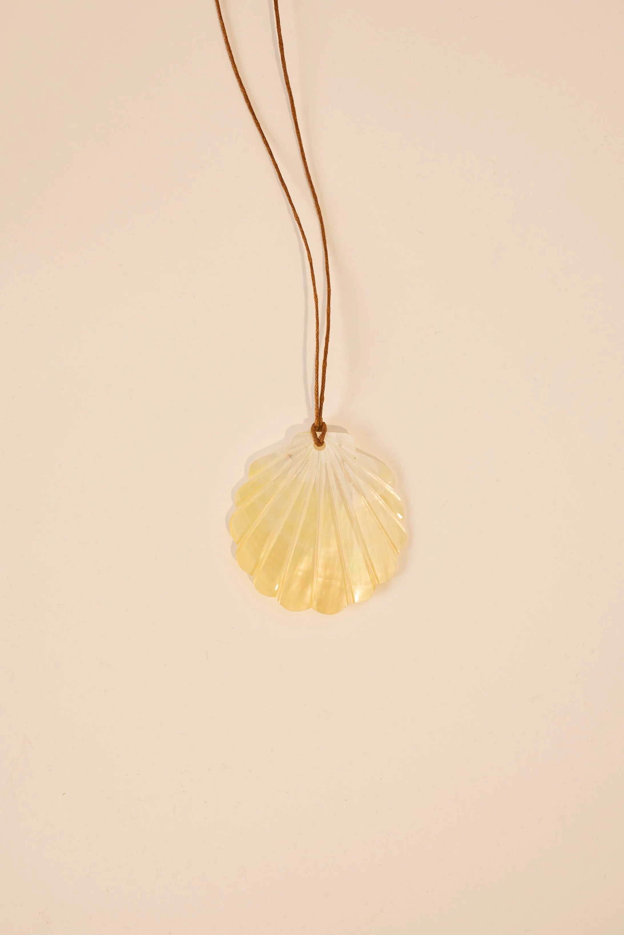 CLAM - MEDIUM