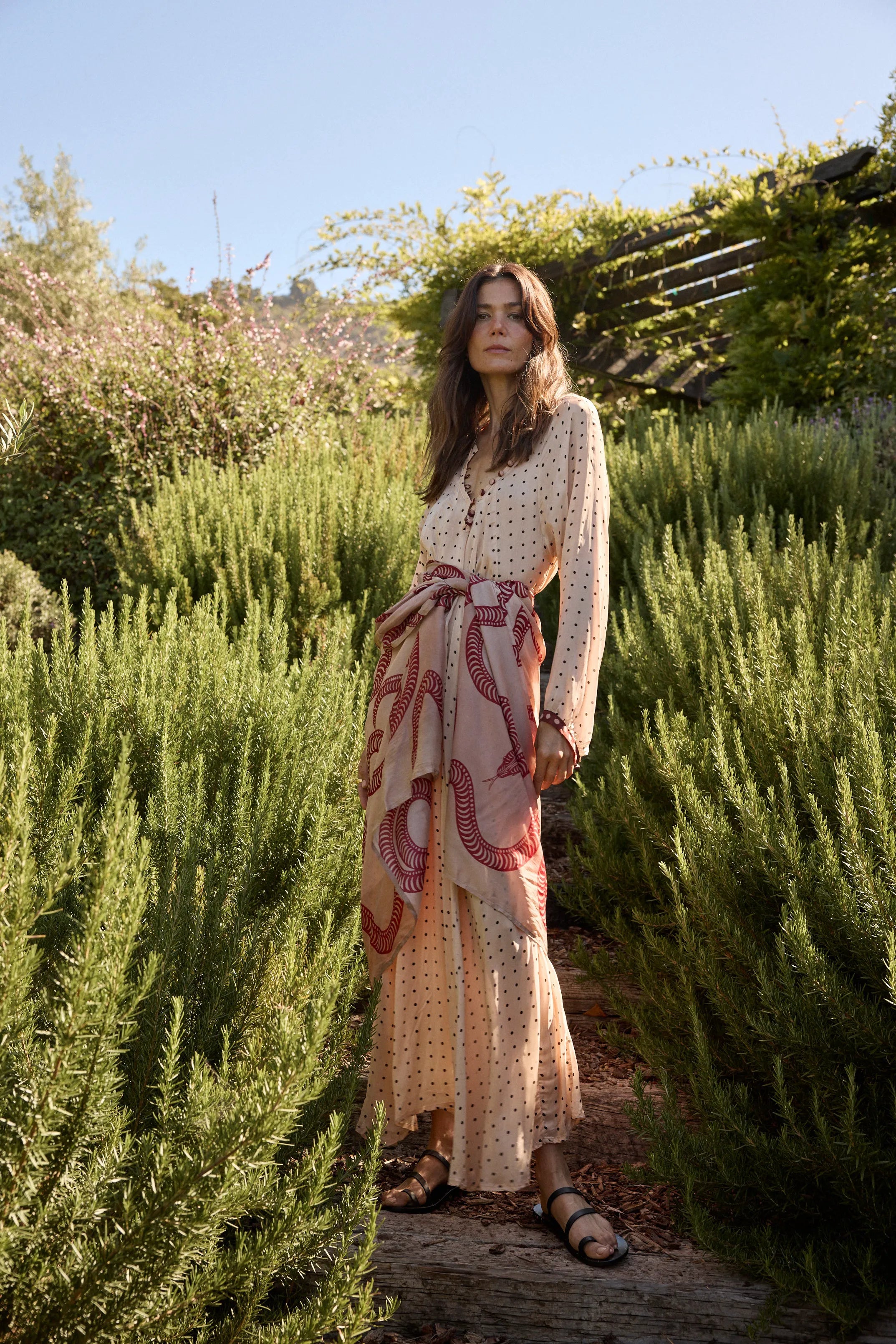 AMENT SNAKE BONE