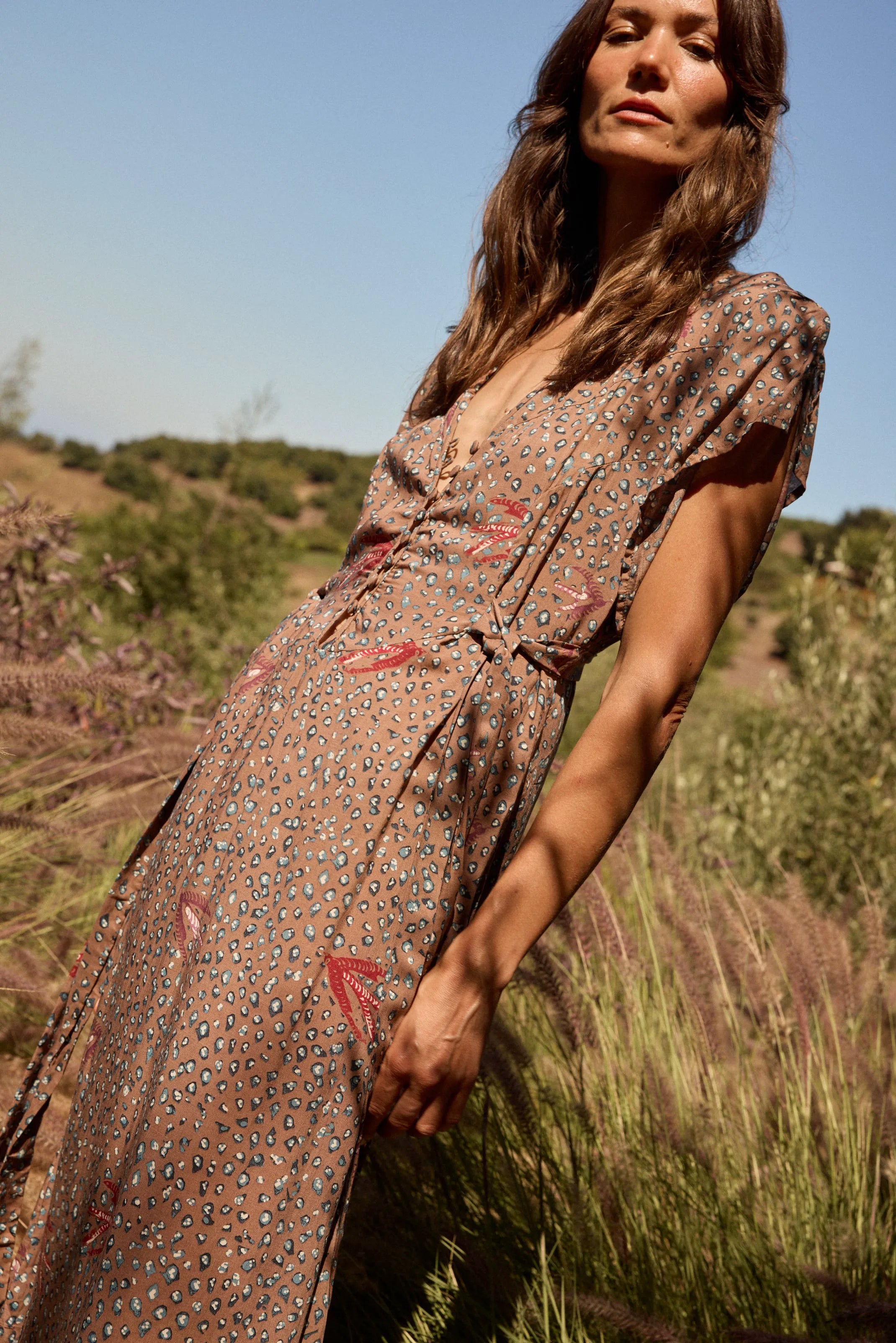 SWALLOW NUTMEG