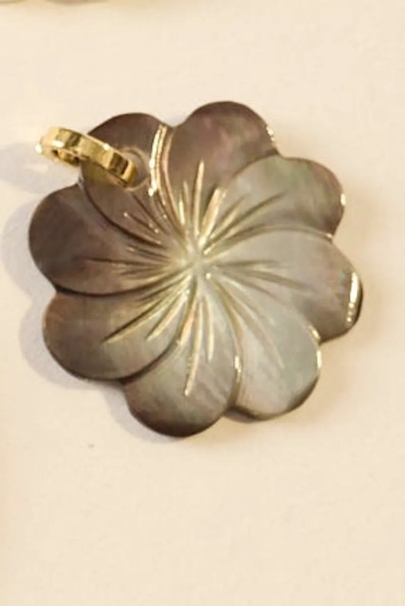 CLAM - MEDIUM