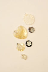 CLAM - MEDIUM