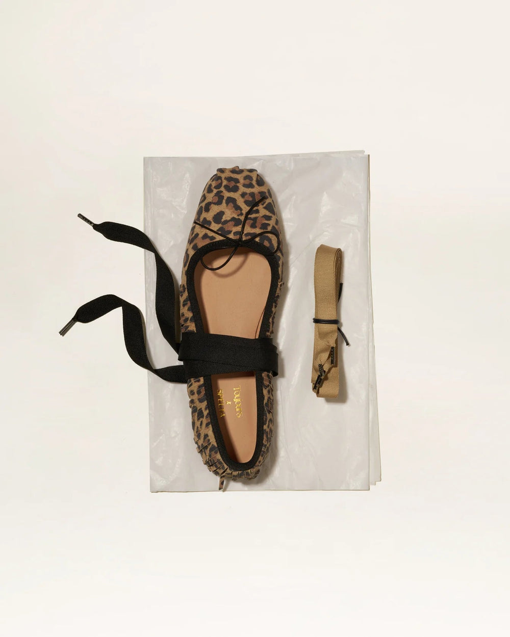 LEOPARD