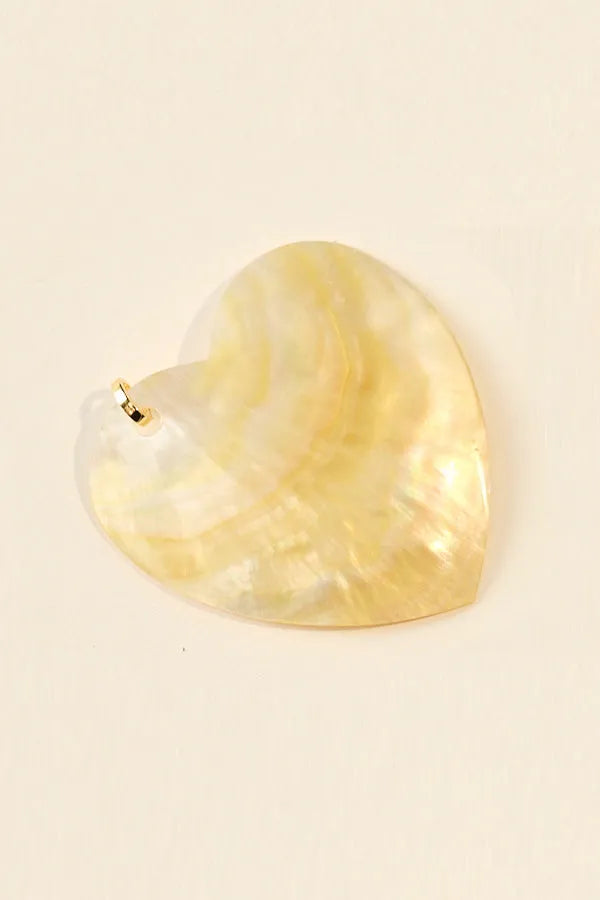 CLAM - MEDIUM