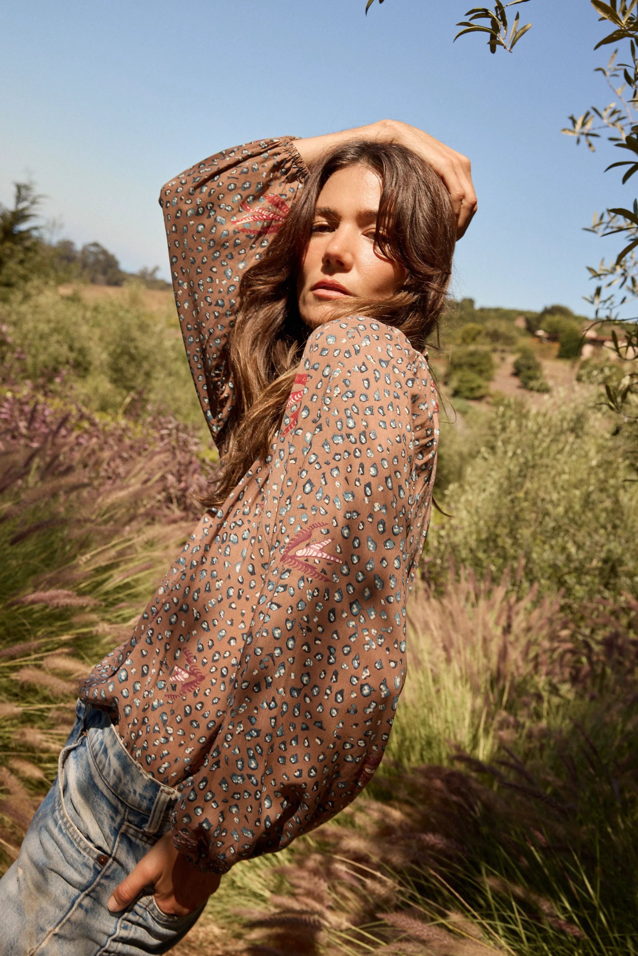 SWALLOW NUTMEG
